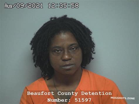 beaufort county mugfaces|beaufort blotter.